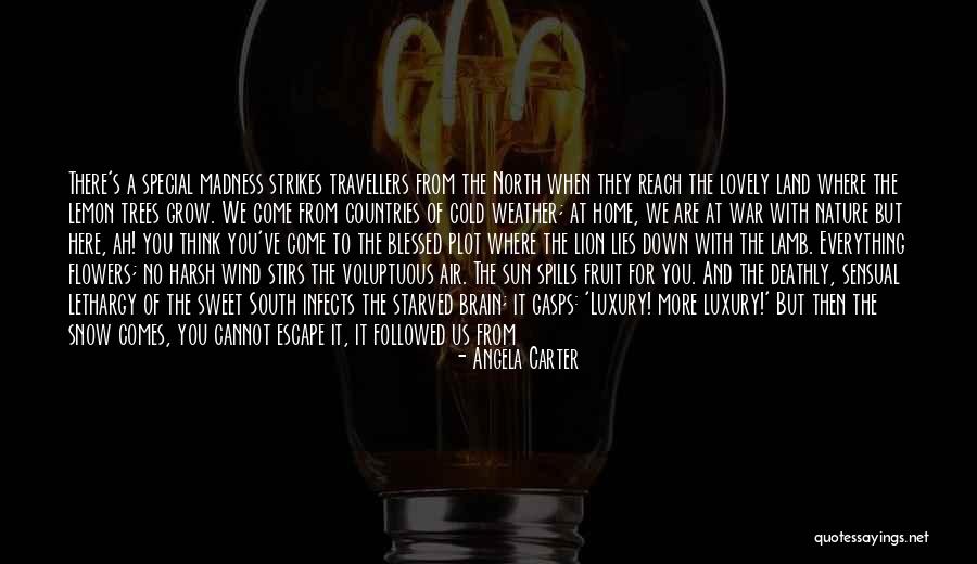 Fruit Trees Quotes By Angela Carter Fruit Trees Quotes By Angela Carter