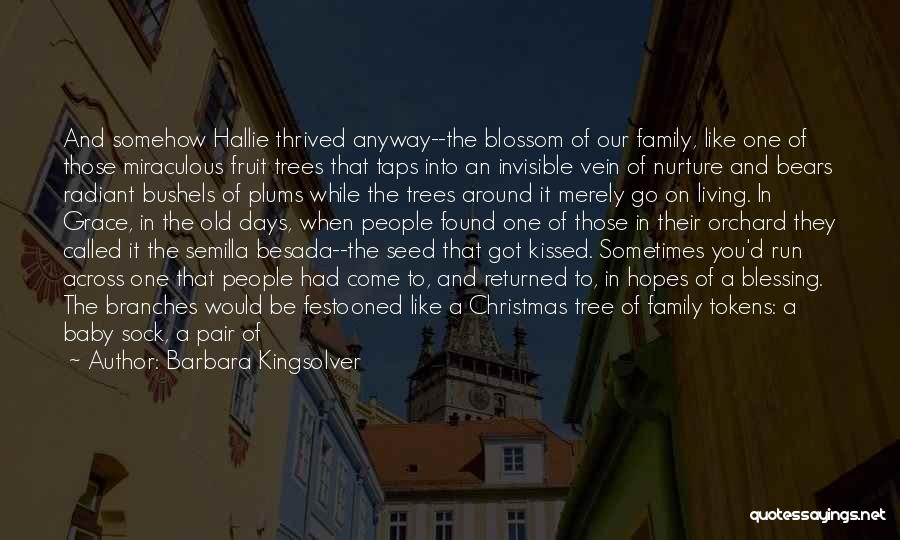 Fruit Trees Quotes By Barbara Kingsolver