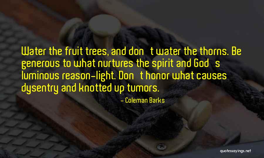 Fruit Trees Quotes By Coleman Barks