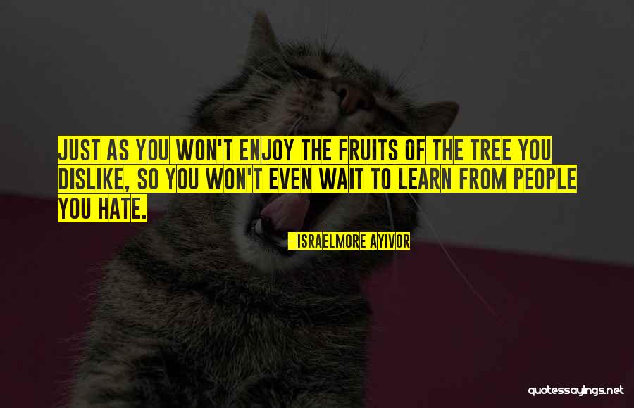 Fruit Trees Quotes By Israelmore Ayivor