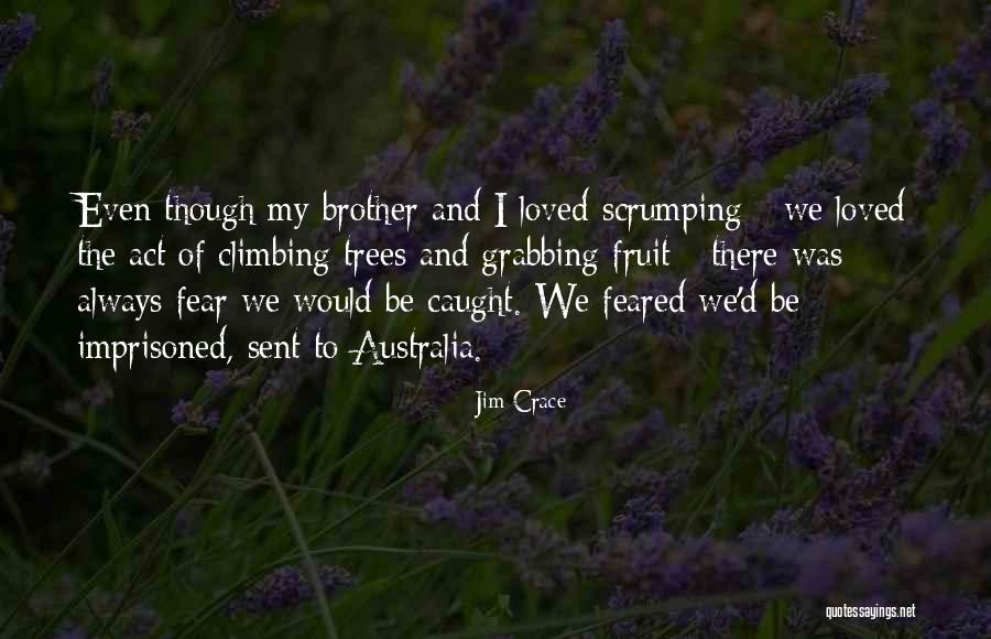 Fruit Trees Quotes By Jim Crace