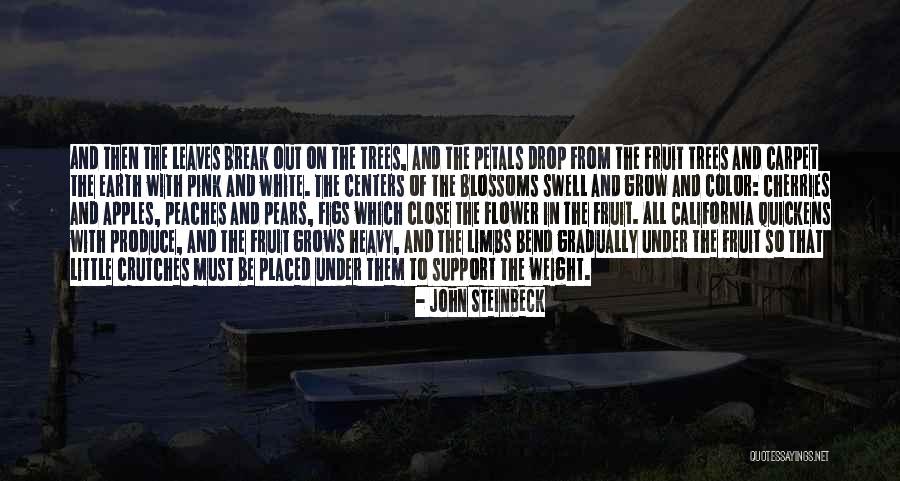 Fruit Trees Quotes By John Steinbeck