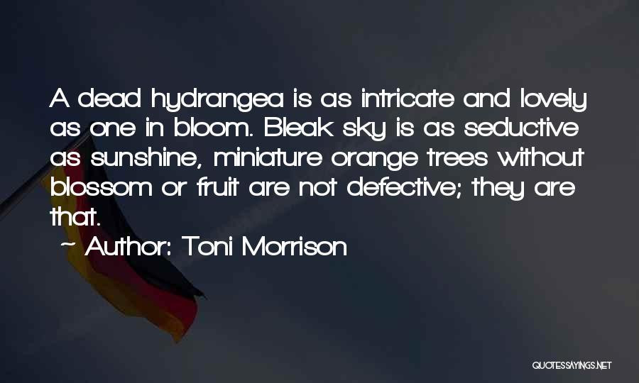 Fruit Trees Quotes By Toni Morrison