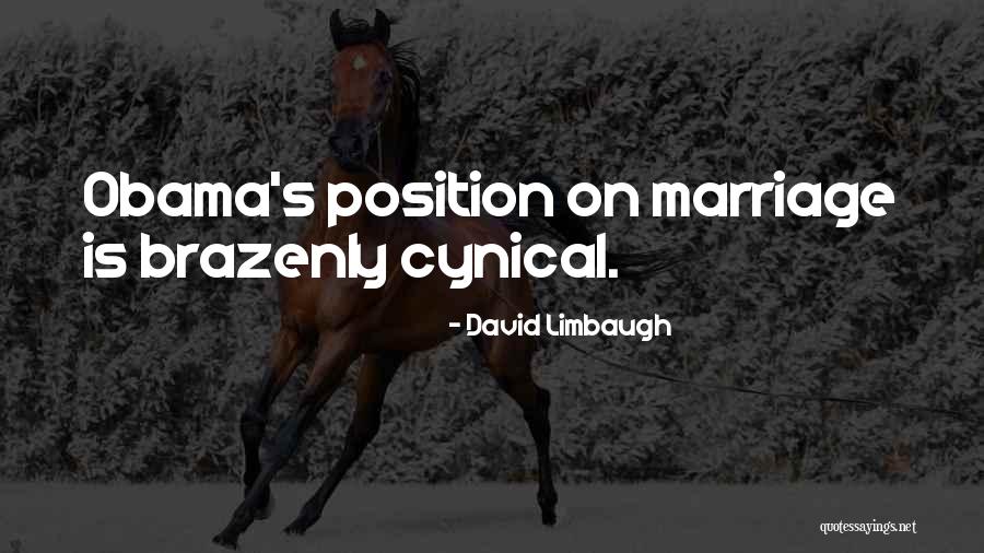 Fruited Rice Quotes By David Limbaugh Fruited Rice Quotes By David Limbaugh