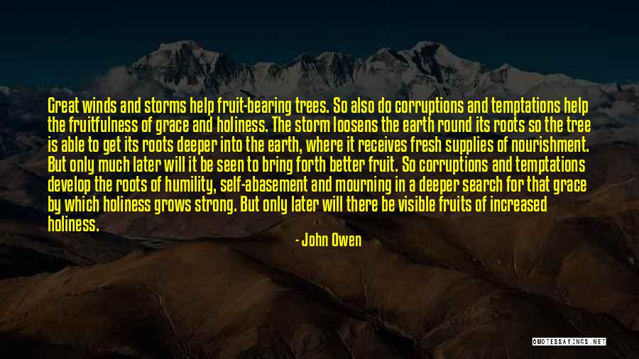 Fruitfulness Quotes By John Owen