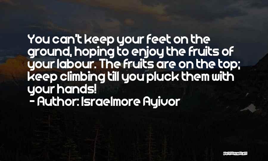 Fruits Of Labour Quotes By Israelmore Ayivor