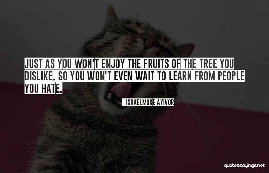 Fruits Of Love Quotes By Israelmore Ayivor Fruits Of Love Quotes By Israelmore Ayivor