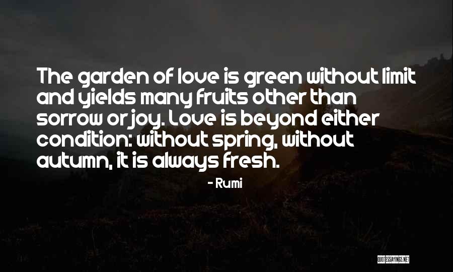 Fruits Of Love Quotes By Rumi Fruits Of Love Quotes By Rumi