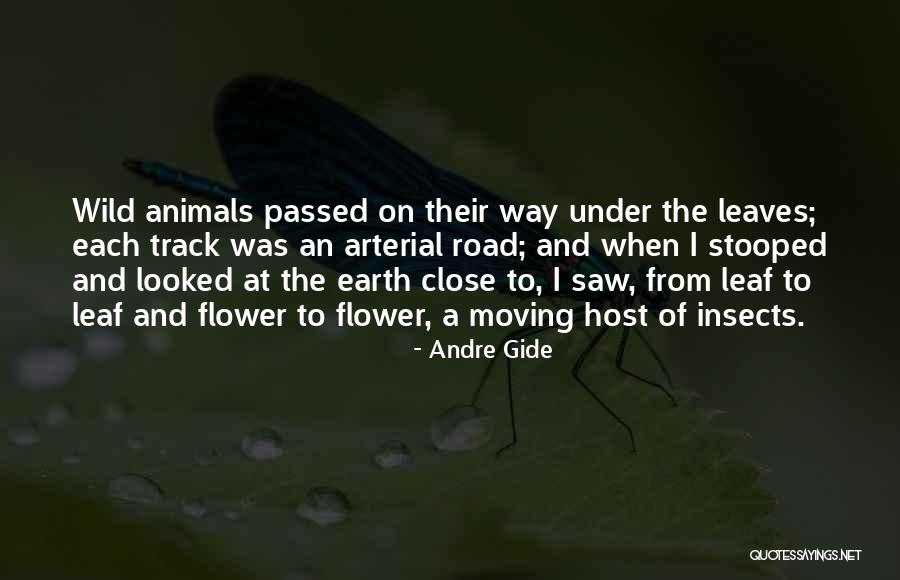 Fruits Of The Earth Quotes By Andre Gide Fruits Of The Earth Quotes By Andre Gide