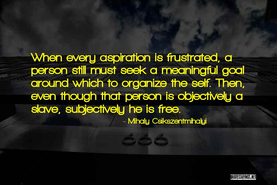 Frustrated Person Quotes By Mihaly Csikszentmihalyi Frustrated Person Quotes By Mihaly Csikszentmihalyi