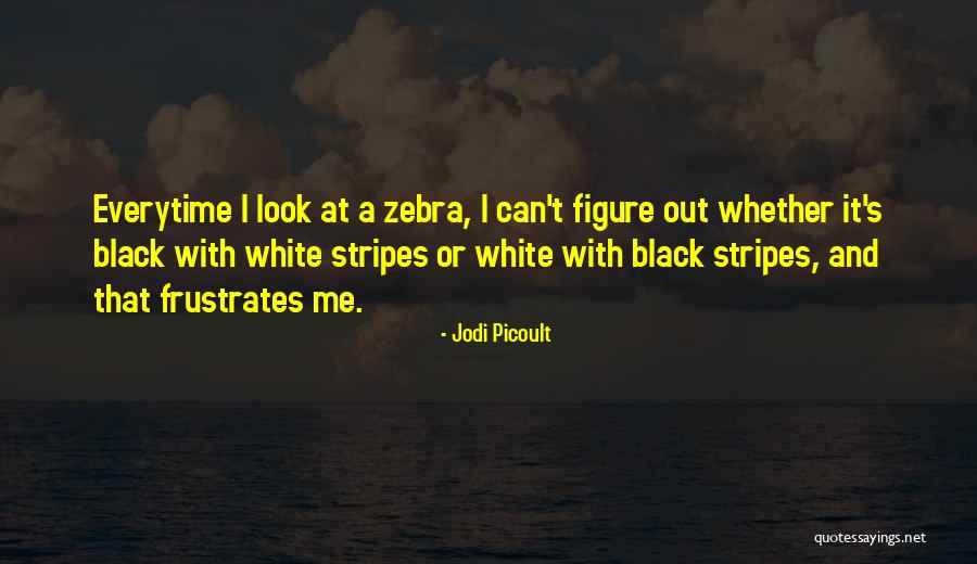 Frustrates Me Quotes By Jodi Picoult Frustrates Me Quotes By Jodi Picoult
