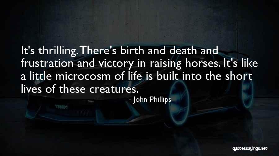 Frustration The Quotes By John Phillips Frustration The Quotes By John Phillips