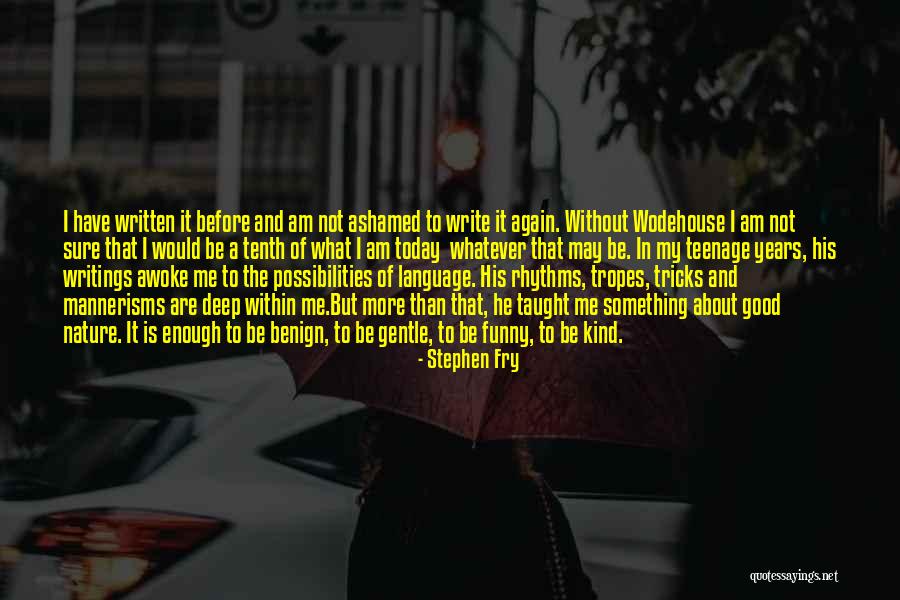 Fry Funny Quotes By Stephen Fry