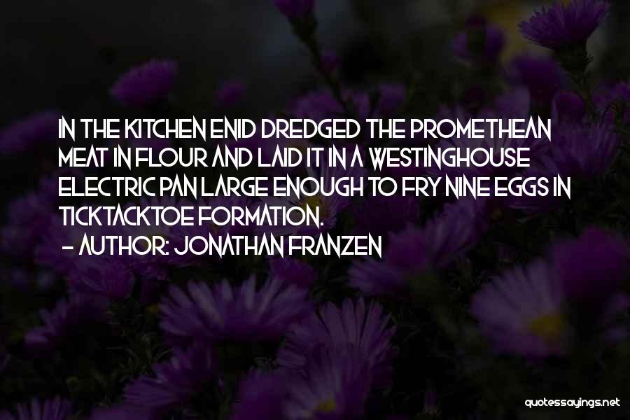 Fry Quotes By Jonathan Franzen