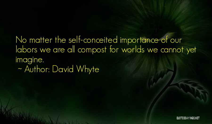 Fryderyk Szopen Quotes By David Whyte