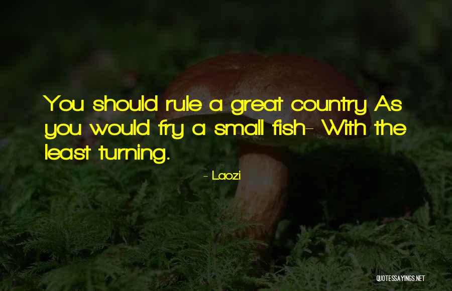 Fry's Best Quotes By Laozi Fry's Best Quotes By Laozi