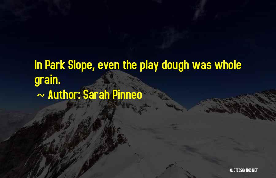 Frysen Airsoft Quotes By Sarah Pinneo