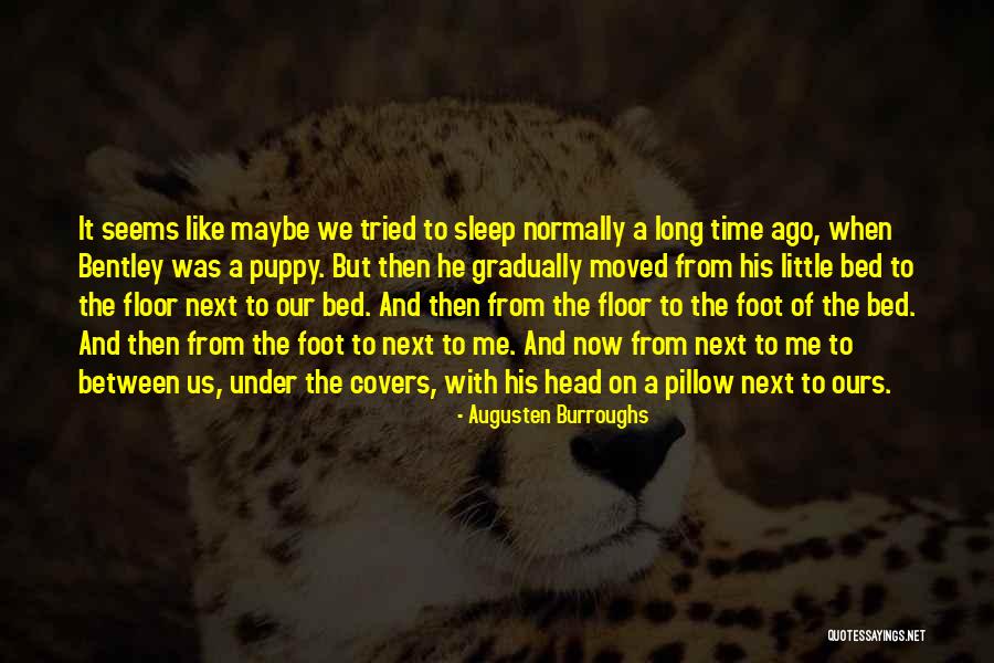 Fuchun Primary Quotes By Augusten Burroughs Fuchun Primary Quotes By Augusten Burroughs