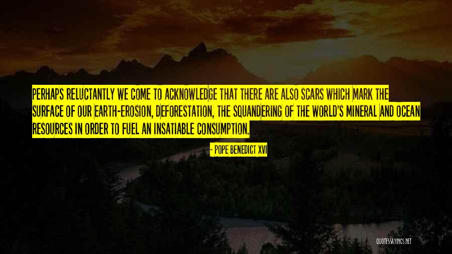 Fuel Consumption Quotes By Pope Benedict XVI