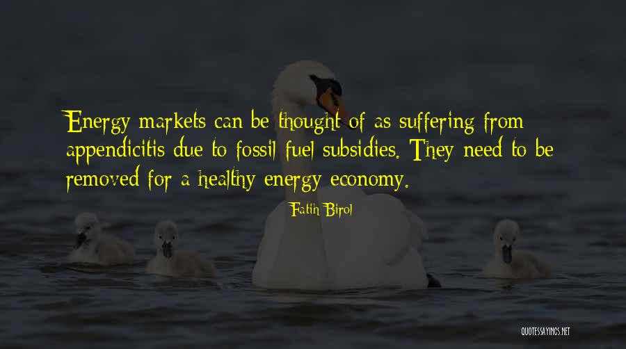 Fuel Economy Quotes By Fatih Birol Fuel Economy Quotes By Fatih Birol
