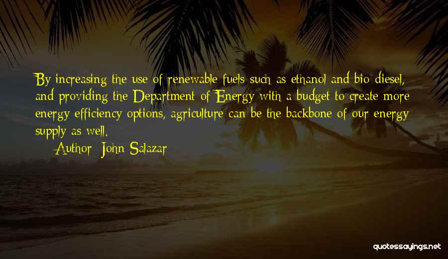 Fuels Quotes By John Salazar