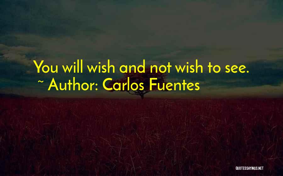 Fuentes Quotes By Carlos Fuentes