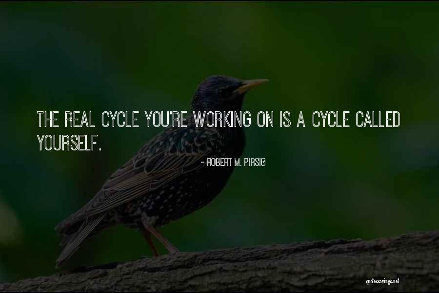 Fuerza Regida Quotes By Robert M. Pirsig