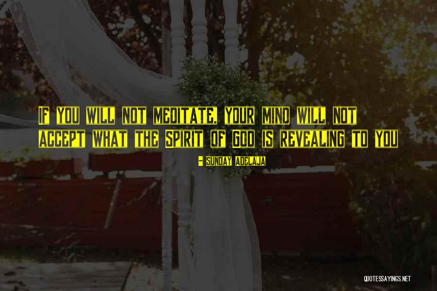 Fufillment Quotes By Sunday Adelaja Fufillment Quotes By Sunday Adelaja