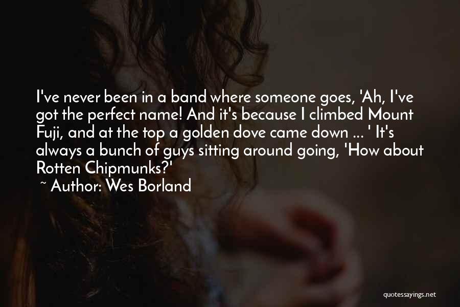 Fuji Quotes By Wes Borland