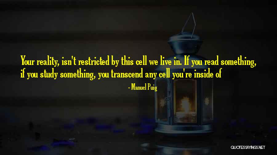 Fujinaka Chise Quotes By Manuel Puig Fujinaka Chise Quotes By Manuel Puig