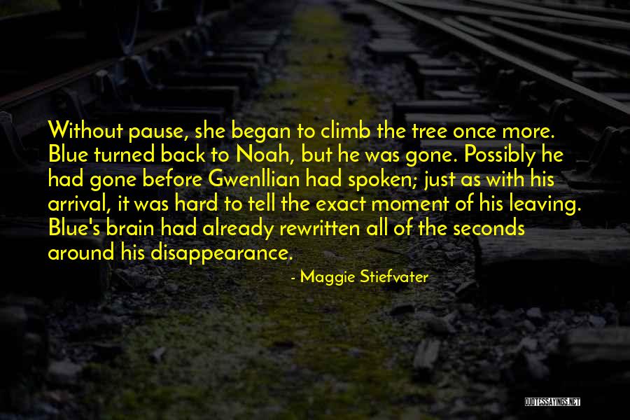 Fujiwara Family Quotes By Maggie Stiefvater Fujiwara Family Quotes By Maggie Stiefvater