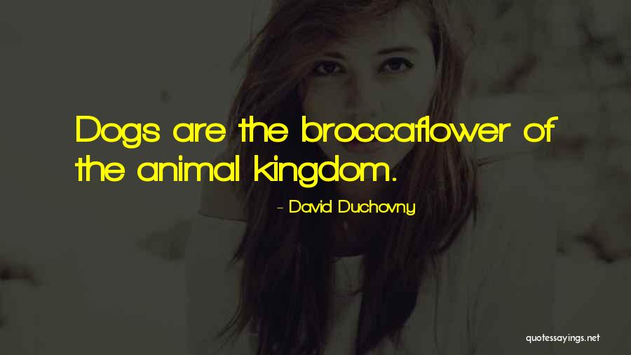 Fujiyama Highlands Quotes By David Duchovny Fujiyama Highlands Quotes By David Duchovny