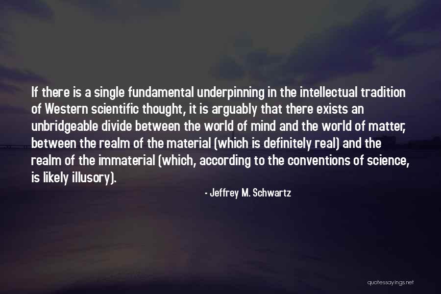 Fukawa Touko Quotes By Jeffrey M. Schwartz Fukawa Touko Quotes By Jeffrey M. Schwartz