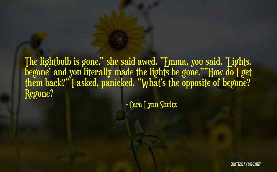 Fulfer Investments Quotes By Cara Lynn Shultz
