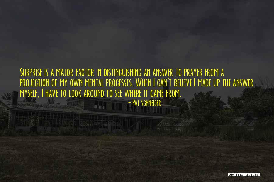 Fulfer Investments Quotes By Pat Schneider