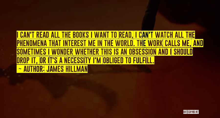 Fulfill My Wish Quotes By James Hillman