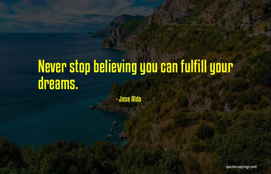 Fulfill Your Dreams Quotes By Jose Aldo