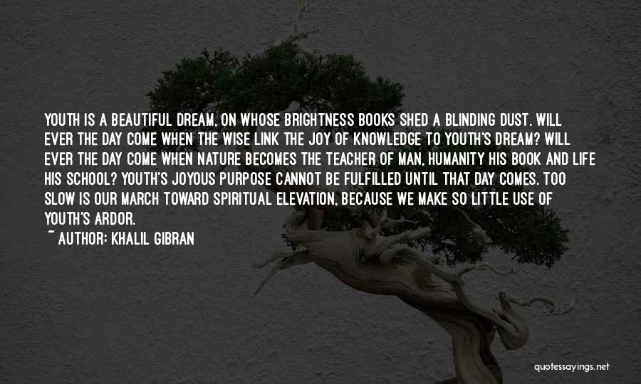 Fulfilled Day Quotes By Khalil Gibran
