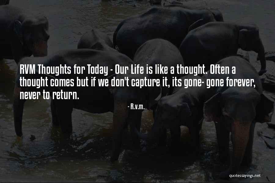 Fulfilling Life Quotes By R.v.m. Fulfilling Life Quotes By R.v.m.