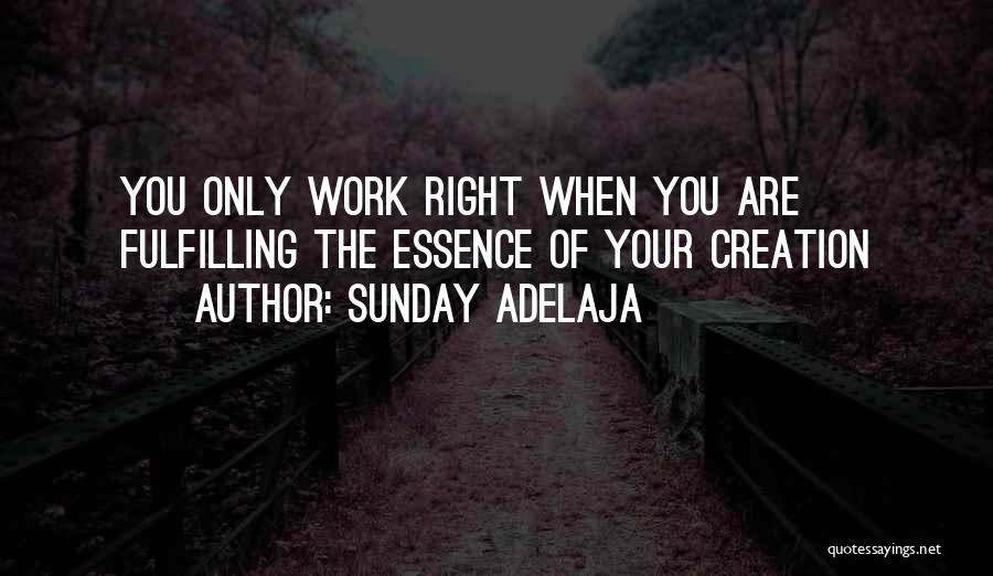 Fulfilling Your Purpose Quotes By Sunday Adelaja