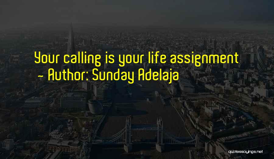 Fulfilling Your Purpose Quotes By Sunday Adelaja