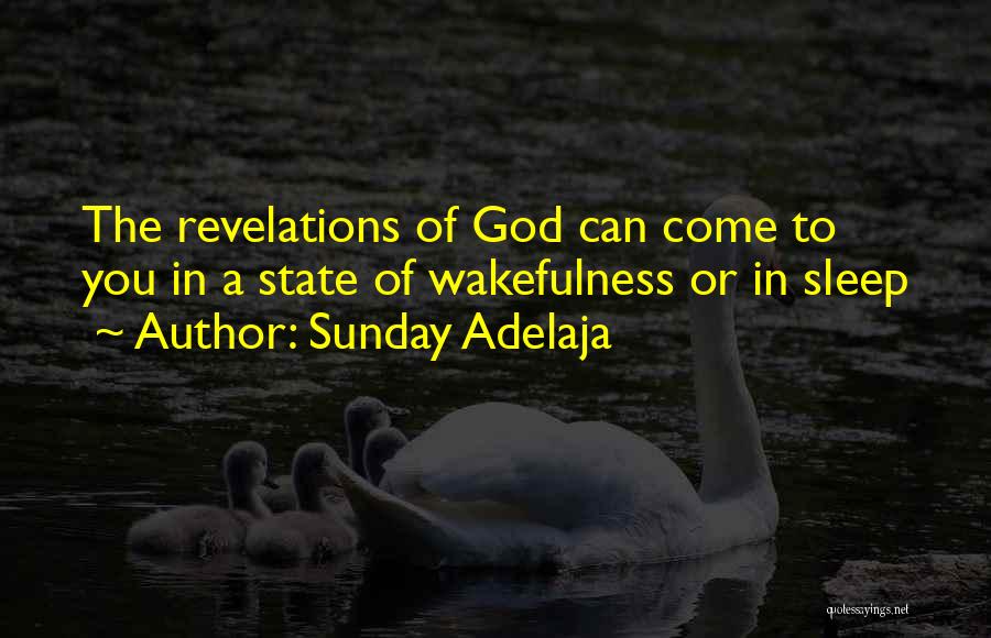 Fulfillment In Life Quotes By Sunday Adelaja