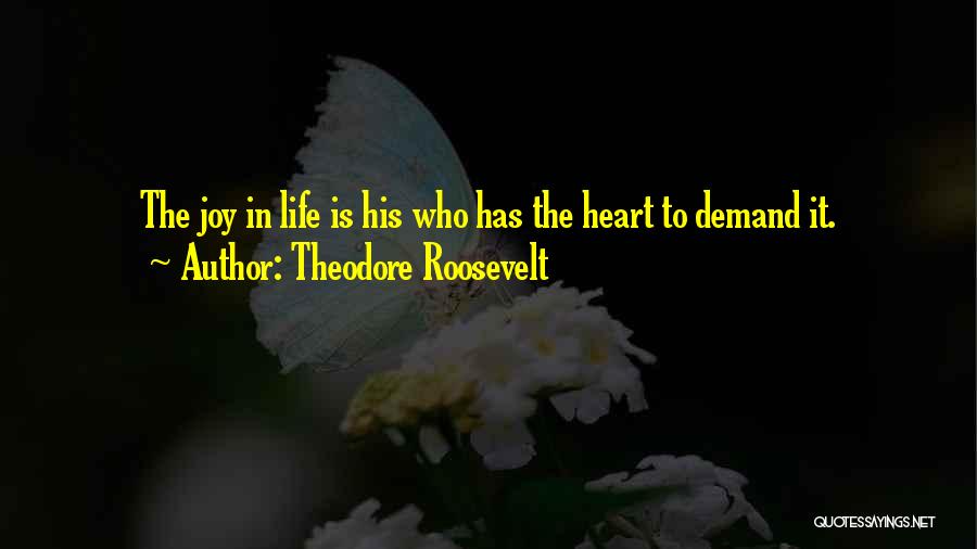 Fulfillment In Life Quotes By Theodore Roosevelt