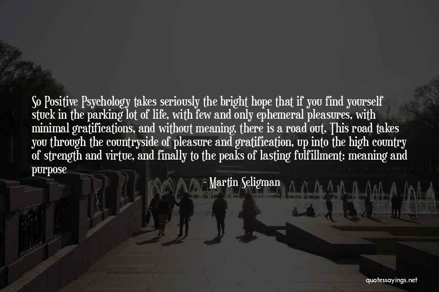 Fulfillment Quotes By Martin Seligman Fulfillment Quotes By Martin Seligman