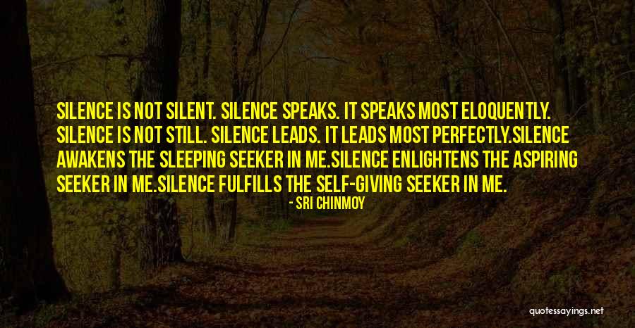 Fulfills Me Quotes By Sri Chinmoy Fulfills Me Quotes By Sri Chinmoy