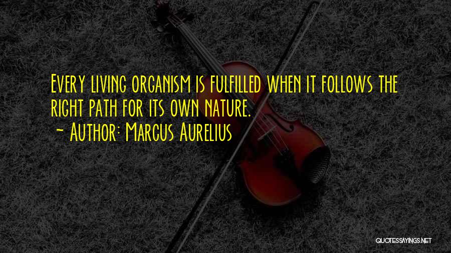 Fulfilment Quotes By Marcus Aurelius