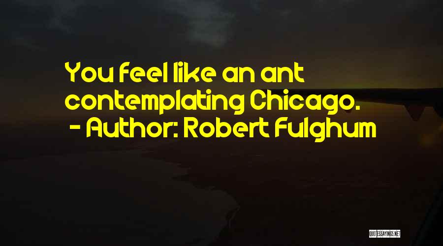 Fulghum Robert Quotes By Robert Fulghum