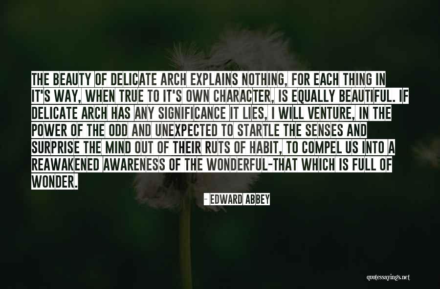 Full Beauty Quotes By Edward Abbey Full Beauty Quotes By Edward Abbey