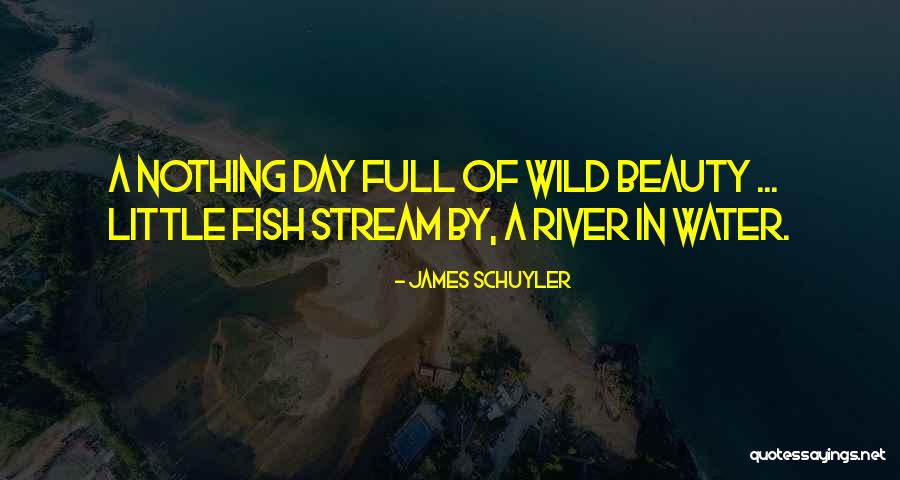 Full Beauty Quotes By James Schuyler Full Beauty Quotes By James Schuyler