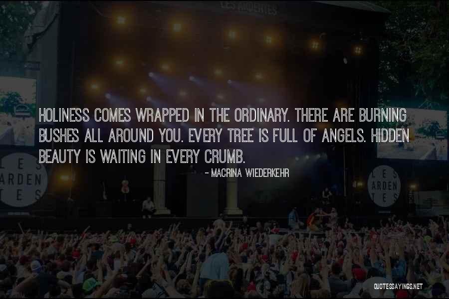 Full Beauty Quotes By Macrina Wiederkehr Full Beauty Quotes By Macrina Wiederkehr